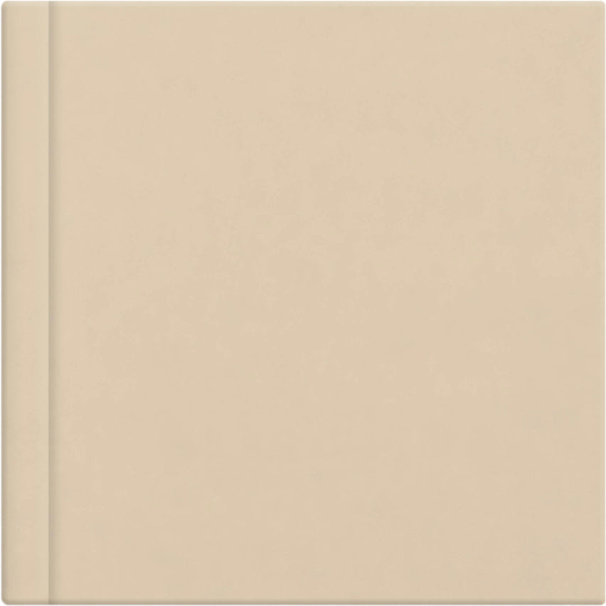 Champagne leatherette album cover, 12x12
