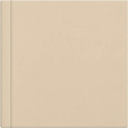 Champagne leatherette album cover, 12x12