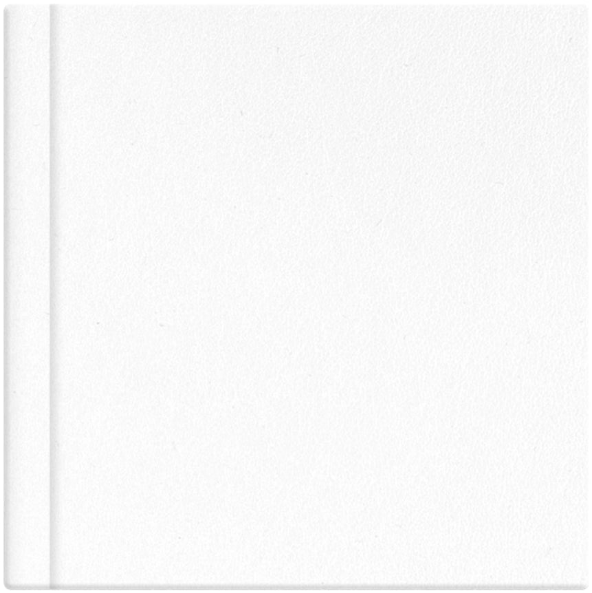 Frothy White leatherette album cover, 12x12