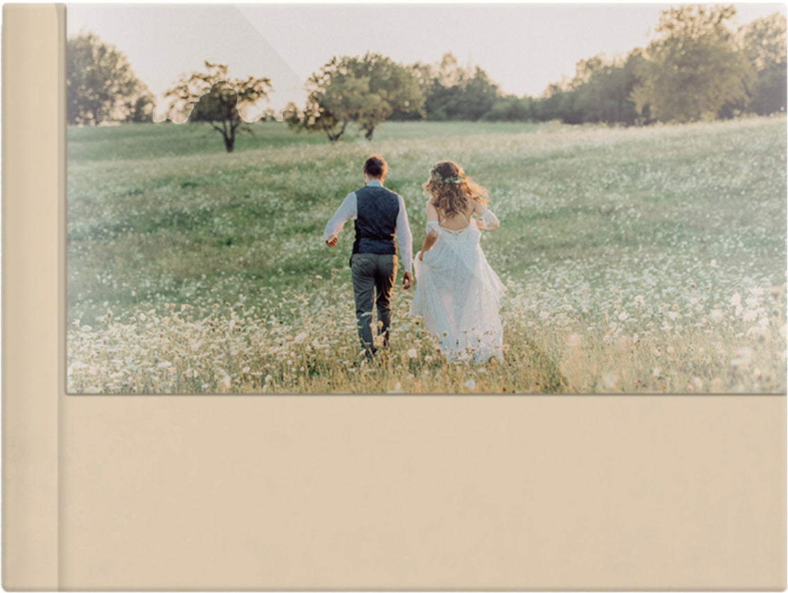Champagne leatherette wedding album, half acrylic photo cover, 18x12