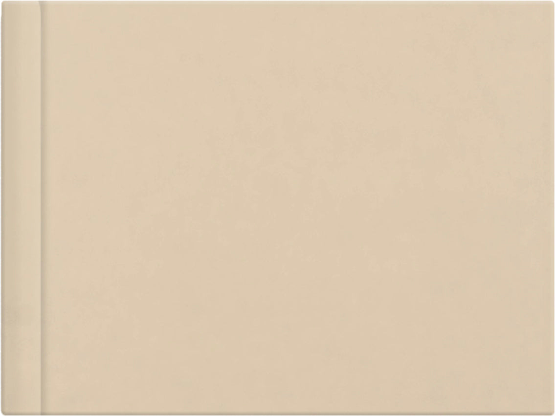 Champagne leatherette album cover, 18x12